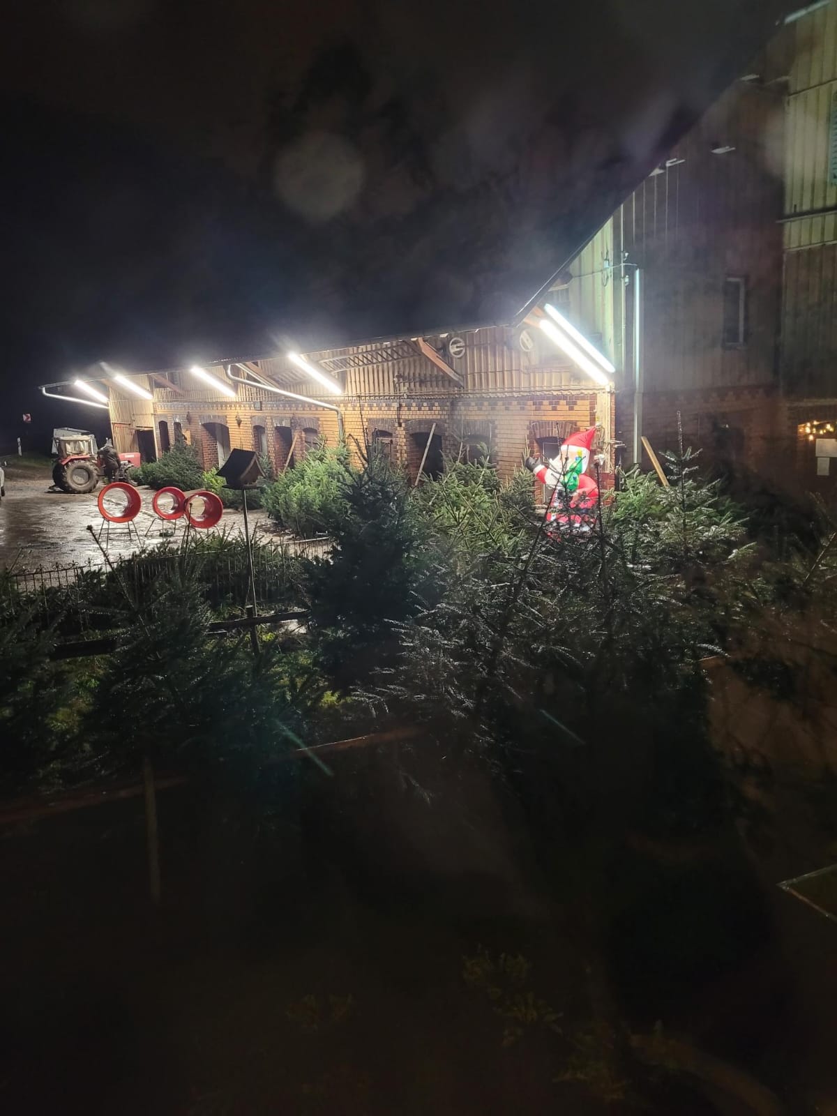Christbaum Bild 3